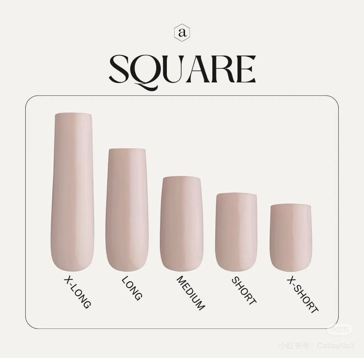 Square Shape